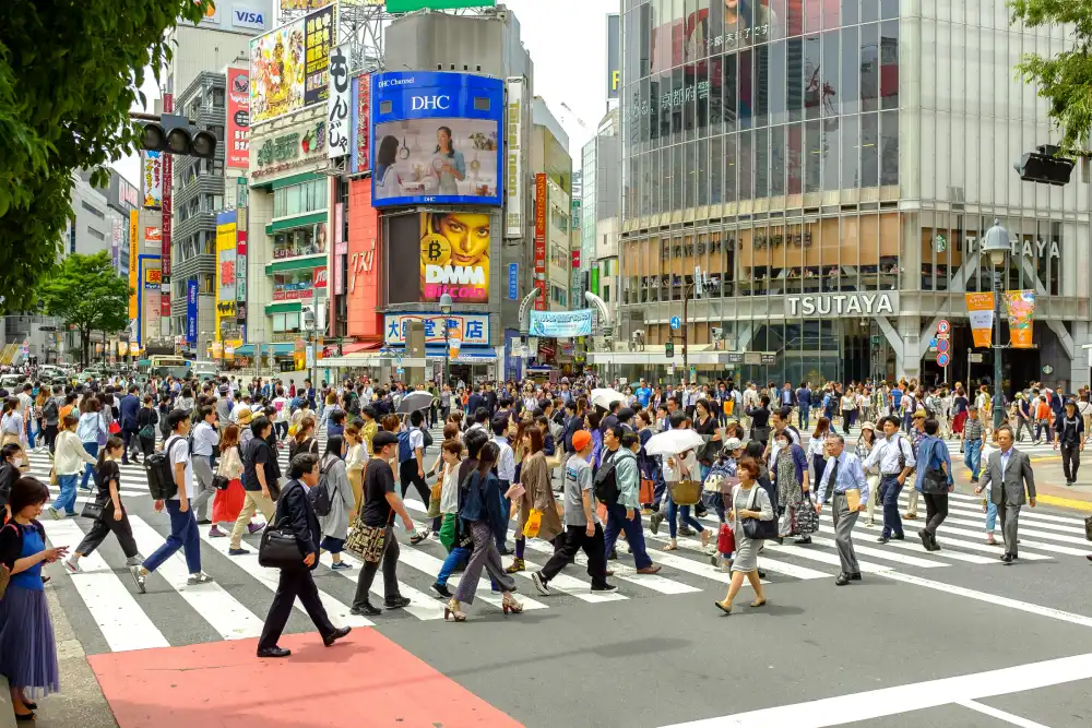 Japan Economic Crisis: Perfect Migration Timing
